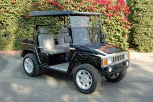 affordable golf cart rental, golf cart rent chesapeake golf cart rental
