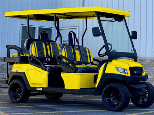 golf cart rental chesapeake, chesapeake golf cart rental